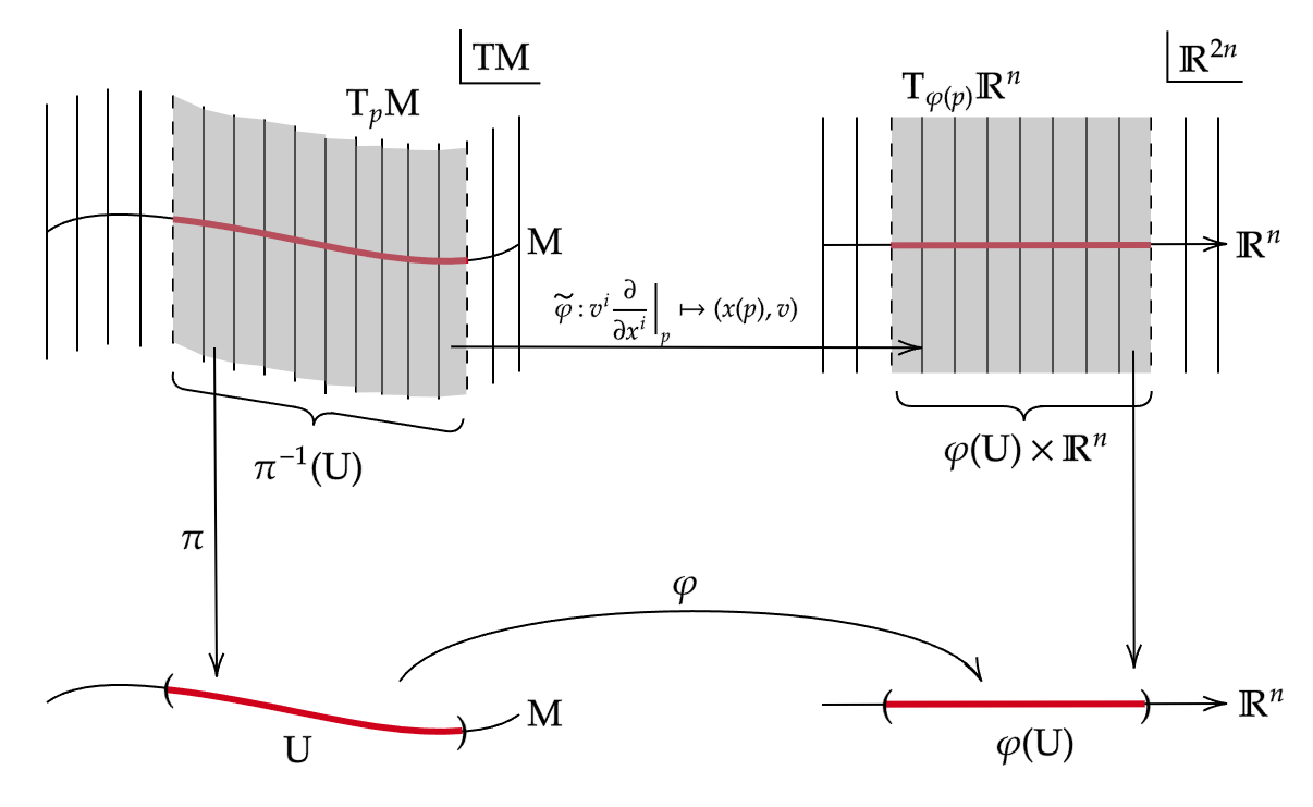 Tangent Bundle