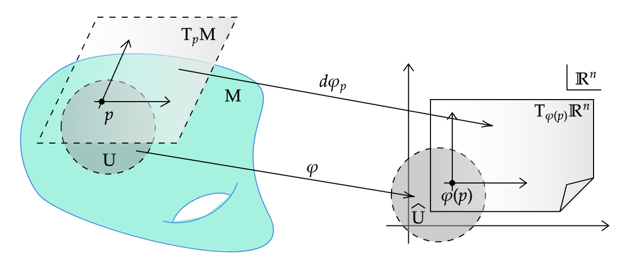 tangent-vector-in-coordinates