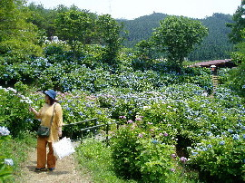 舞鶴自然文化園