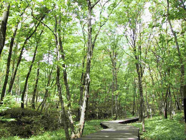 小宮公園